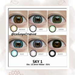 Alternative view of SKY 1