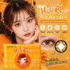 Softlens Holicat Cutie Cat