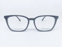 ATTITUDE 7095 C01