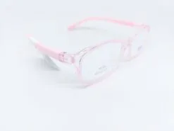 Alternative view of SWNRFS S6309 C02