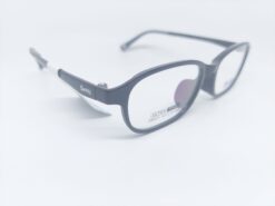 Alternative view of SWNRFS S6521 C01