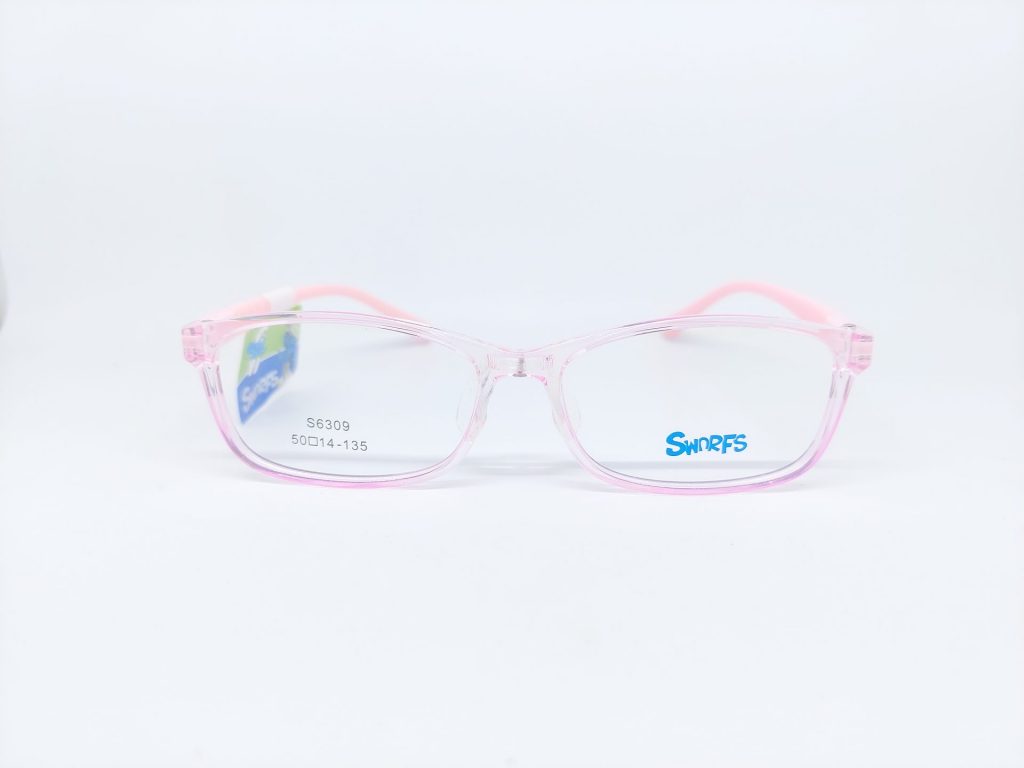 SWNRFS S6309