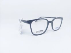 Alternative view of SWNRFS S6515 C01