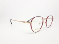 Alternative view of GP 22317 C5