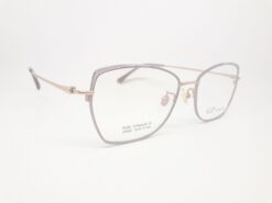 Alternative view of GP 29303 C2