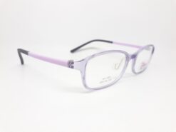 Alternative view of SWNRFS HY221 C2