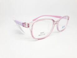 Alternative view of SWNRFS S6307 C03