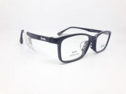 Alternative view of SWNRFS S6506 C01