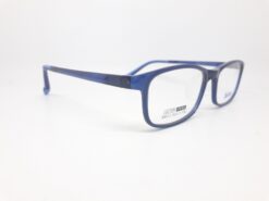 Alternative view of SWNRFS S6513 C04