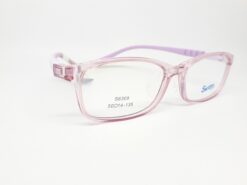 Alternative view of SWNRFS S6309 C03