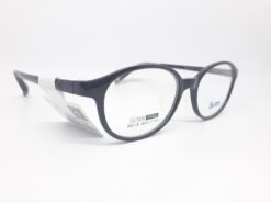 Alternative view of SWNRFS S6518 C01