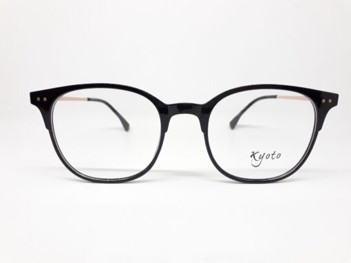 KYOTO H00246 C1