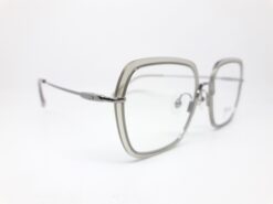 Alternative view of KYOTO H00246 C1