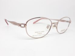 Alternative view of KYOTO M9004 C6