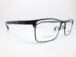 Alternative view of Truevue 2005 C1