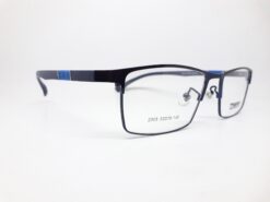 Alternative view of Truevue 2005 C2