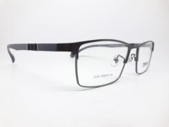 Alternative view of Truevue 2005 C4