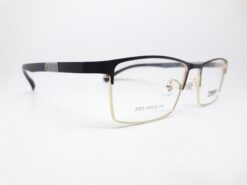 Alternative view of Truevue 2005 C5