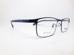 Alternative view of Truevue 2007 C2