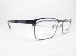 Alternative view of Truevue 2007 C4