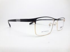 Alternative view of Truevue 2007 C5