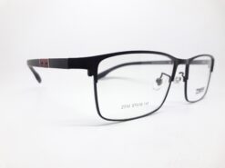 Alternative view of Truevue 2010 C1