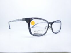 Alternative view of JFREY 20970505